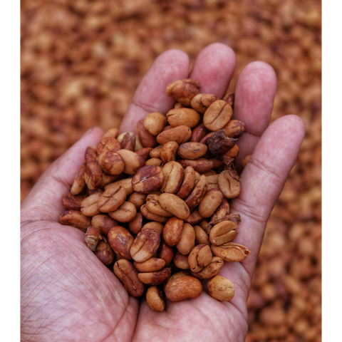 Cafe Doña Maria° Natural Honey
